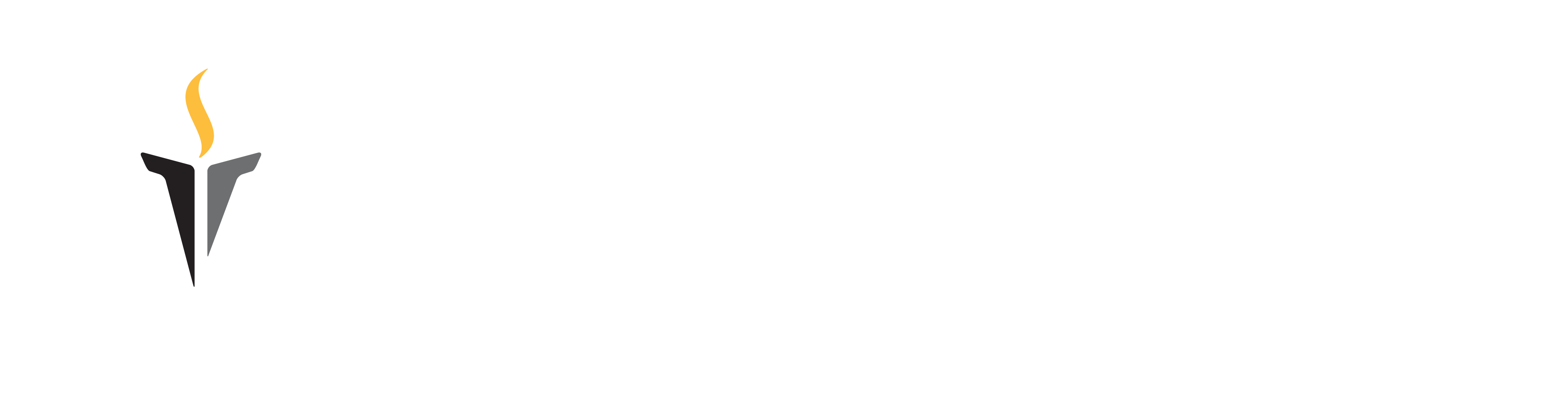 VST Grandeur Logo